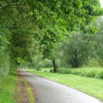 DSC04636