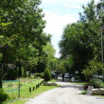 DSC04691